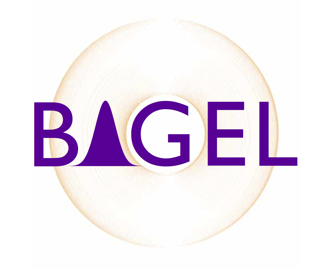 _images/bagel-final.png